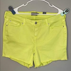 SOLD!!! - Plus Size 18 Torrid Vibrant Lime Punch Green Shorts!